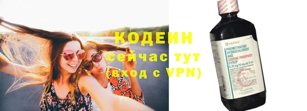 apvp Богородицк