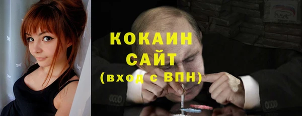 apvp Богородицк