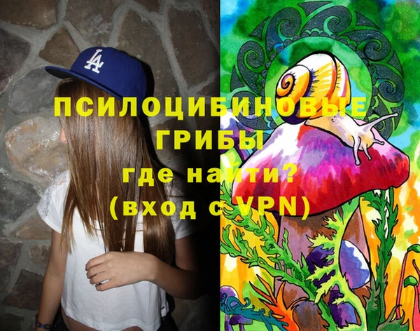 apvp Богородицк