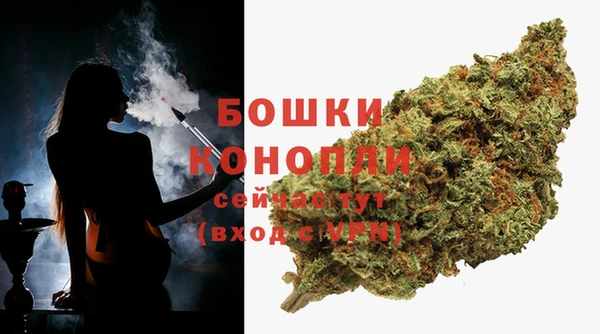 apvp Богородицк