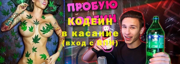 apvp Богородицк